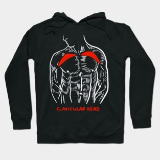 Gym Trainer Muscles Anatomy Clavicular Head Hoodie